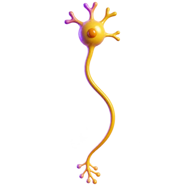 Axons lesson