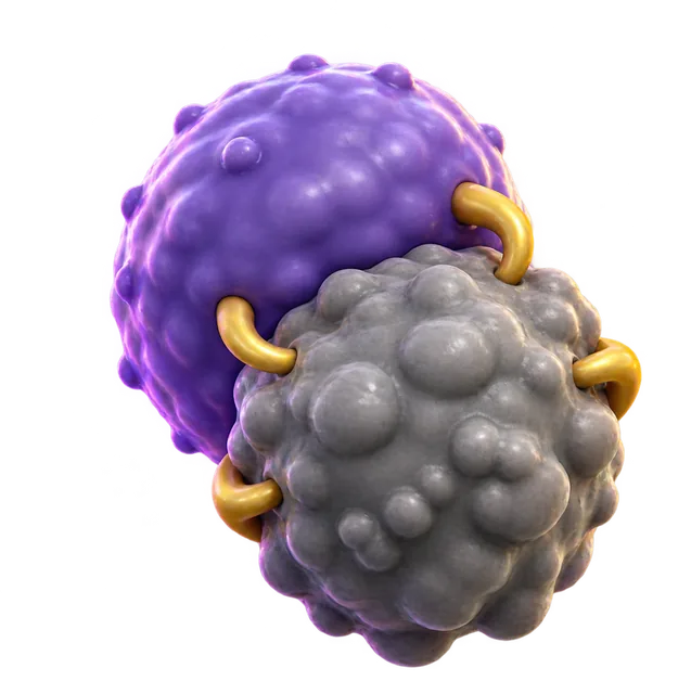 CAR T cell lesson