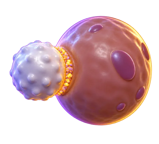 Killer T Cells lesson